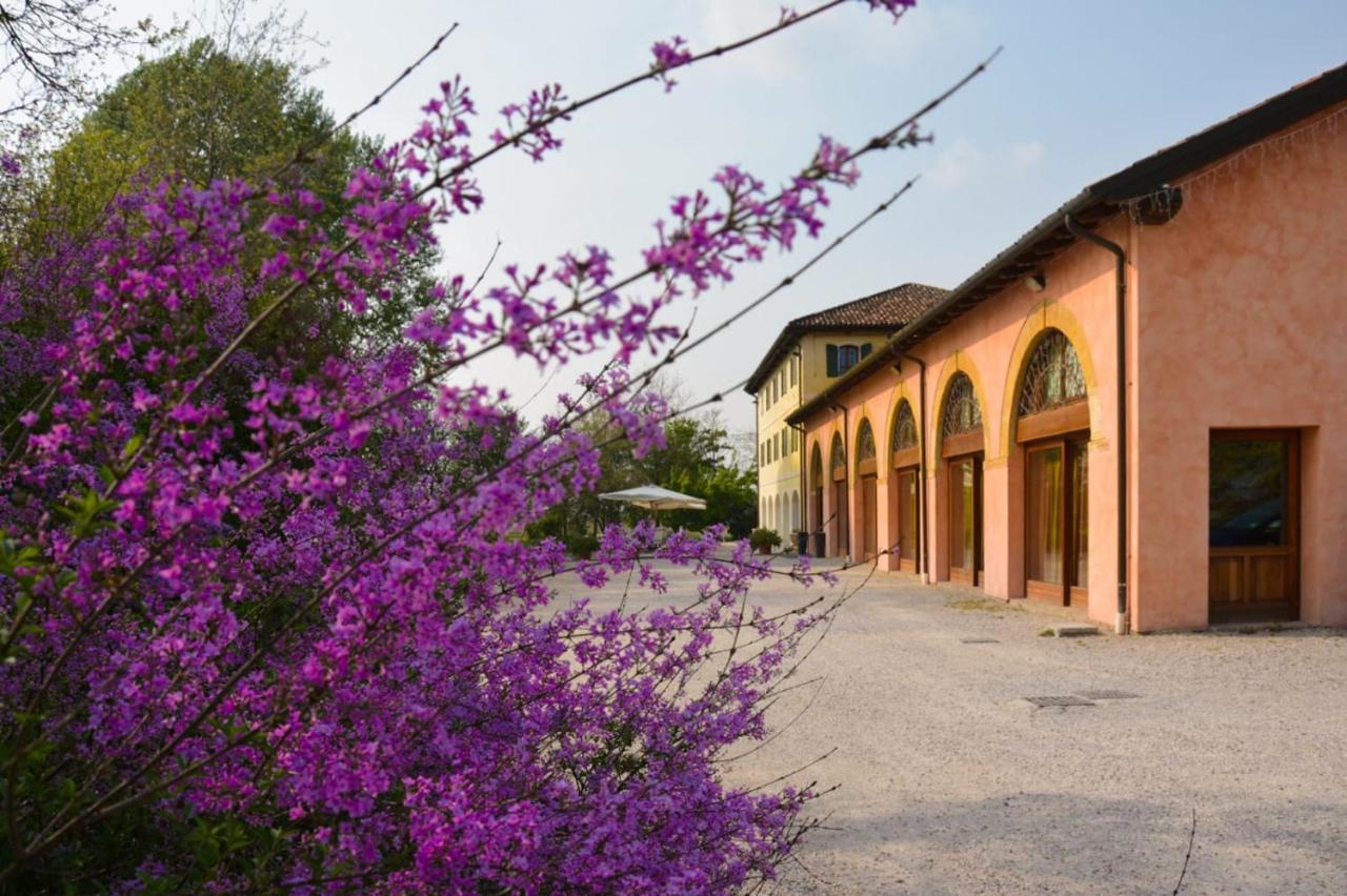 Agriturismo Rechsteiner 폰테디피아베 외부 사진